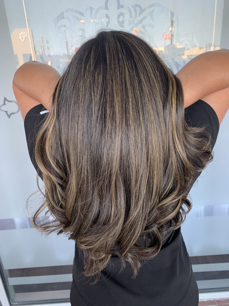 Ysassi and Company Logo