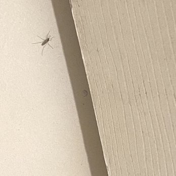 Quality Inn Casa Grande I-10 - Mosquito - Hotels Near Me - Casa Grande, Arizona Quality Inn Casa Grande I-10 - Mosquito - Hotels Near Me - Casa Grande, Arizona