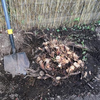Three Brothers Landscaping - Before - Landscaping Near Me