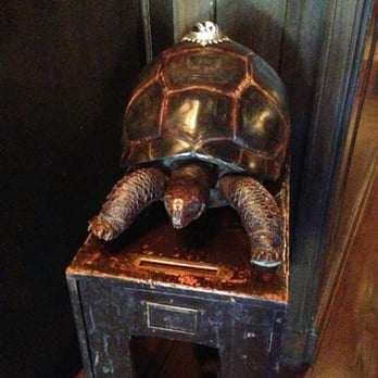 Tortoise Supper Club - Teddy!! - Supper Clubs Near Me - Chicago, Illinois