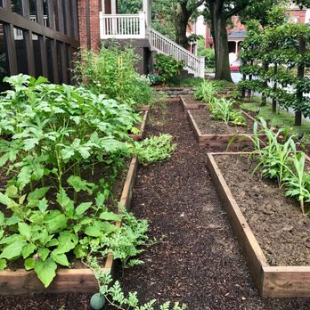 Husk - Garden at HUSK - Southern Near Me - Nashville, Tennessee