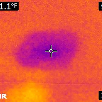 Land Made - Thermal image of a possible water leak - Home Inspectors Near Me