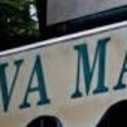 Viva María