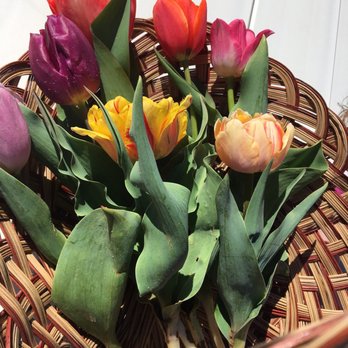 Texas-Tulips - Our selection - $40 - 7 flowers plus entry fee for two adults and two kids - Nurseries & Gardening Near Me - Pilot Point, Texas