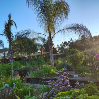 Riverbed Farm - Such a beautiful location! - Farmers Market Near Me - Anaheim, California Riverbed Farm - Such a beautiful location! - Farmers Market Near Me - Anaheim, California