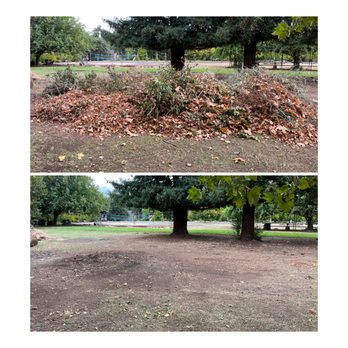 Ihaulit Dump Runs - Piles of brush cleared out and looking good as new! - Junk Removal & Hauling Near Me - Chico, California