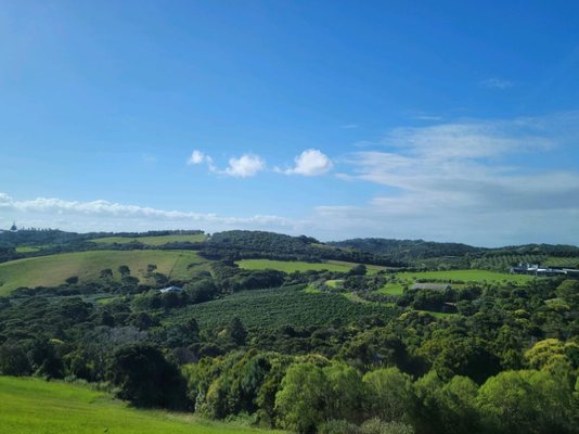 Waiheke Island by null