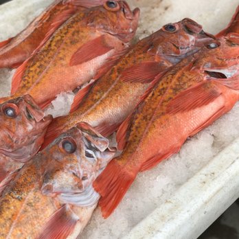 Tuna Harbor Dockside Market - Seafood Markets Near Me - San Diego, California