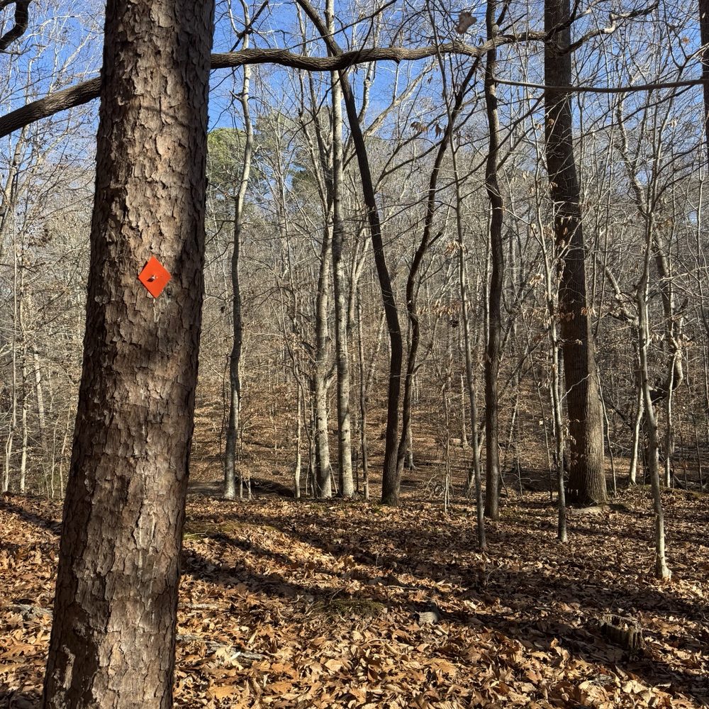 William B Umstead State Park - Pott's Branch Trail, orange diamond. Well marked trail! - December 2025 - Hiking Near Me - Raleigh, North Carolina William B Umstead State Park - Pott's Branch Trail, orange diamond. Well marked trail! - December 2025 - Hiking Near Me - Raleigh, North Carolina