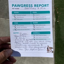Report