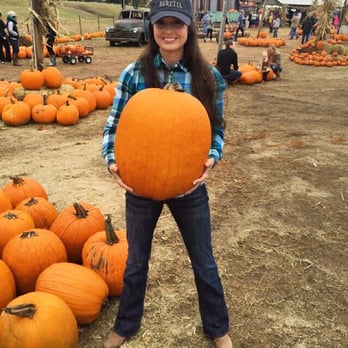 Hall's Pumpkin Farm - Pumpkin Patches Near Me - Grapevine, Texas