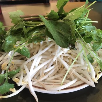 Pho Dat Thanh - Bean sprouts and basil come with the pho - Vietnamese Near Me - Columbia, Maryland