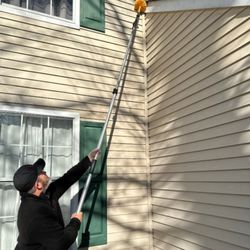 Creighton Pest Control - Spider Web Removal