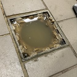 HI Grade Plumbing - Clogged floor drain