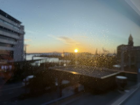 M Social Hotel Auckland by null