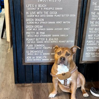 Chronic Coffee - Buddha the shop CEO - Coffee & Tea Near Me - Indianapolis, Indiana