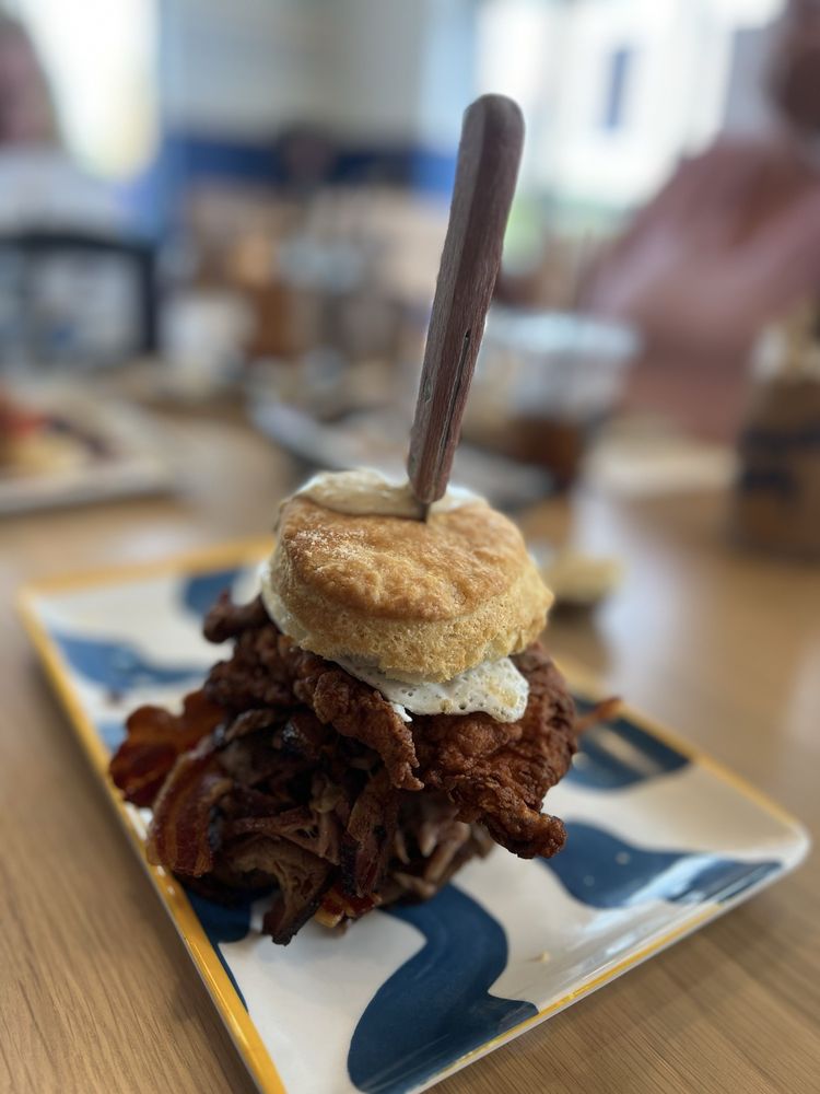 Biscuit Belly - Lexington