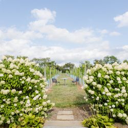 Mirabelle Farm & Vineyard