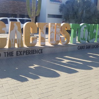 Cactus Tours - Tours Near Me - Cabo San Lucas, BCS Cactus Tours - Tours Near Me - Cabo San Lucas, BCS