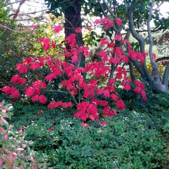 Chicago Botanic Garden - Botanical Gardens Near Me - Glencoe, Illinois