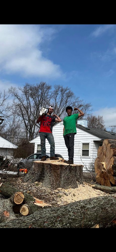 Redwood Forestry & Property Maintenance - tree service in Champaign , IL