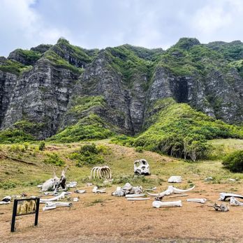 Kualoa Ranch - Tours Near Me - Kaneohe, Hawaii Kualoa Ranch - Tours Near Me - Kaneohe, Hawaii