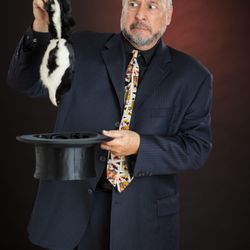 All I wanted was a rabbit!