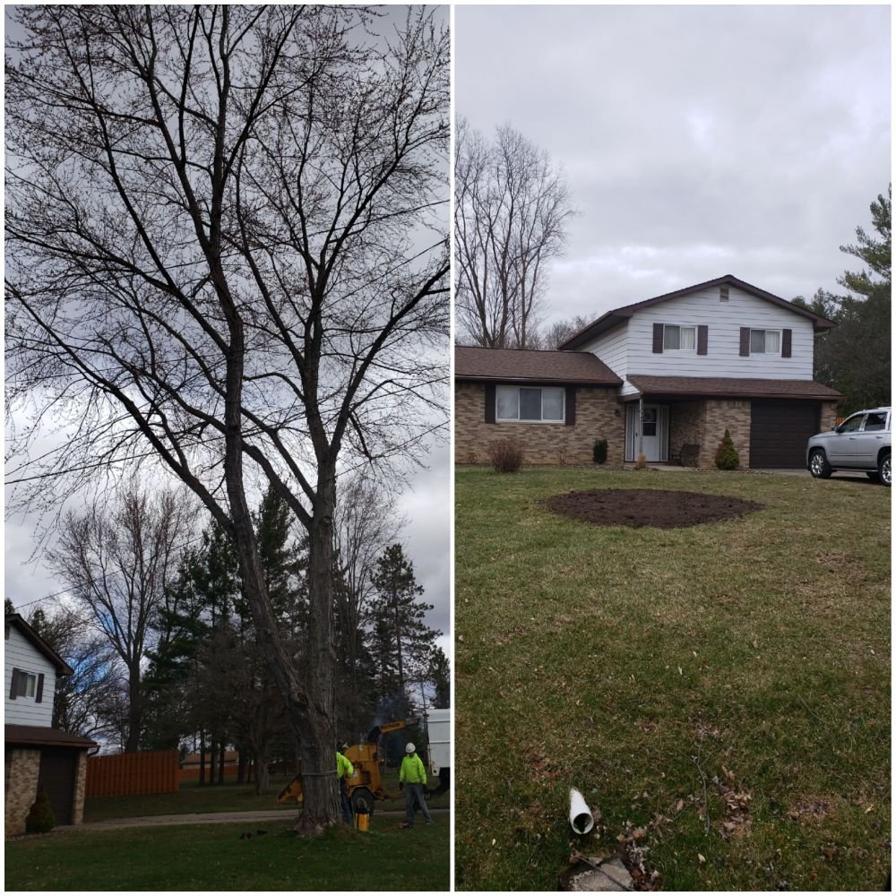 JR’S TREE SERVICE 13 Photos 3286 W Mt Morris Rd, Mt. Morris, MI Yelp