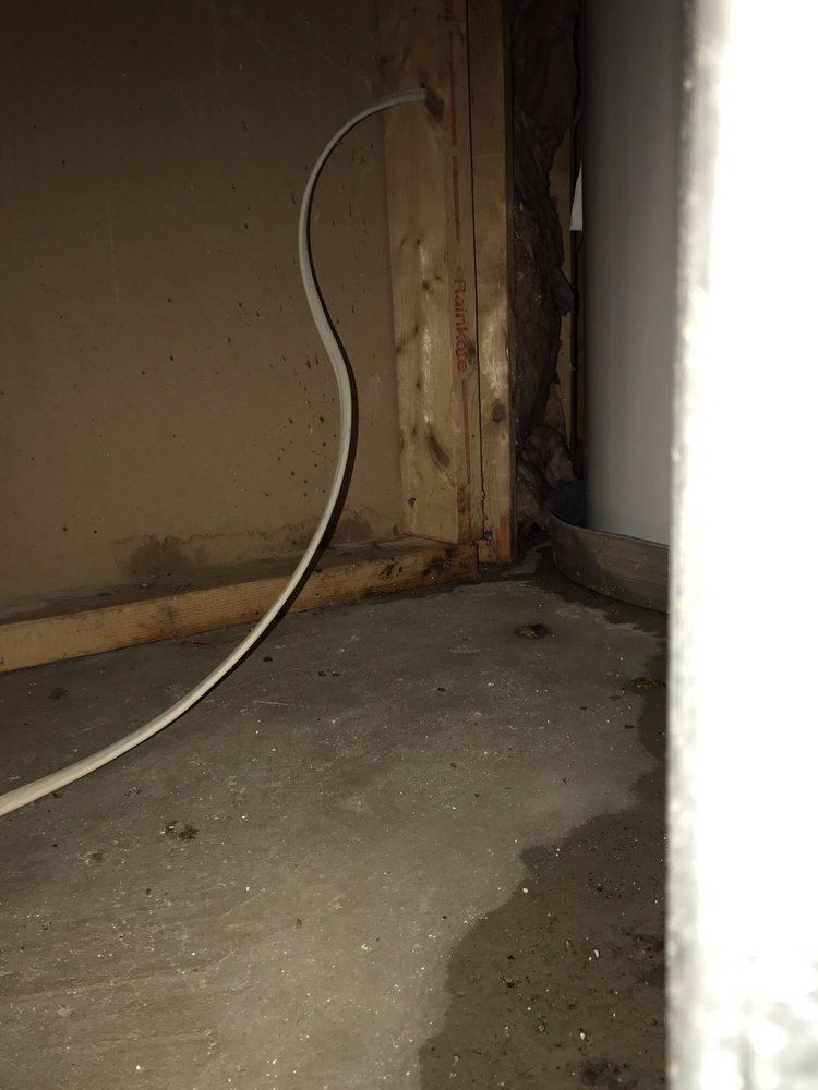 Slide of Bayless Plumbing Sewer & Drain