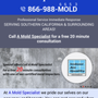 Photo of A Mold Specialist