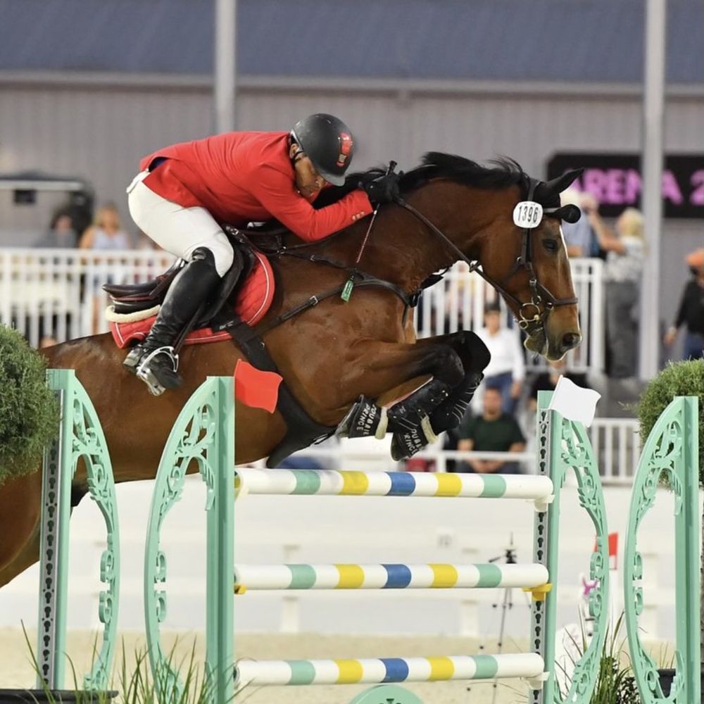 TOP 10 BEST Livestock Feed & Supply in Ocala, FL - Updated 2026 - Yelp