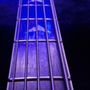 Photo of Rick Dalton Guitar Lessons