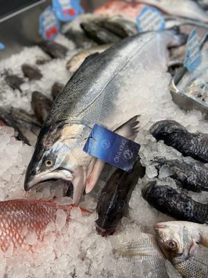 Avenue U Fish Market by null