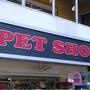 Color Pet Shop