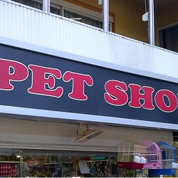 Color Pet Shop
