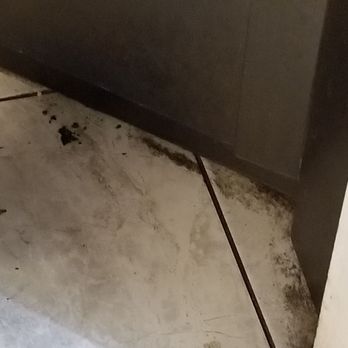 Pasghetti's - More grimy floors - Italian Near Me - Branson, Missouri Pasghetti's - More grimy floors - Italian Near Me - Branson, Missouri