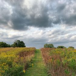 Casper Bluff Land & Water Reserve