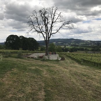 Lachini Vineyards - Wine Tasting Room Near Me - Newberg, Oregon Lachini Vineyards - Wine Tasting Room Near Me - Newberg, Oregon