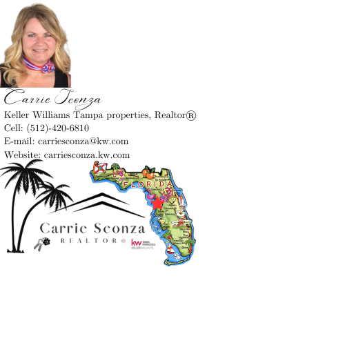 CARRIE SCONZA KELLER WILLIAMS NW TAMPA 5020 W Linebaugh Ave, Tampa