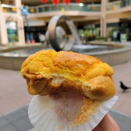 Egg Custard