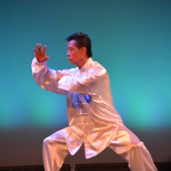 Calvin Chin's Martial Arts Academy - GM Calvin Chin performs Tai Chi!