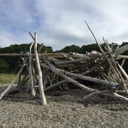 Sears Island