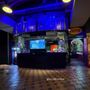 Photo of Amazing Chicago's Funhouse Maze