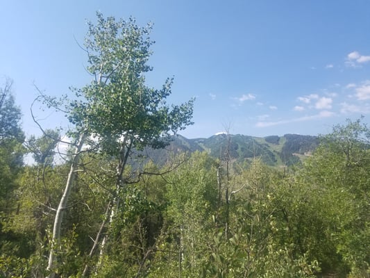 Hunter Creek Trail Head by null
