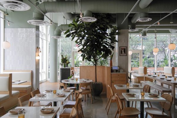 Maty's by null Maty's by null