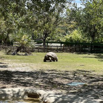 Zoo Miami - Zoos Near Me - Miami, Florida