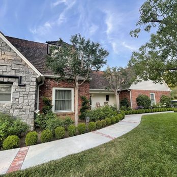 Pachecos tree service - Tree Services Near Me Pachecos tree service - Tree Services Near Me
