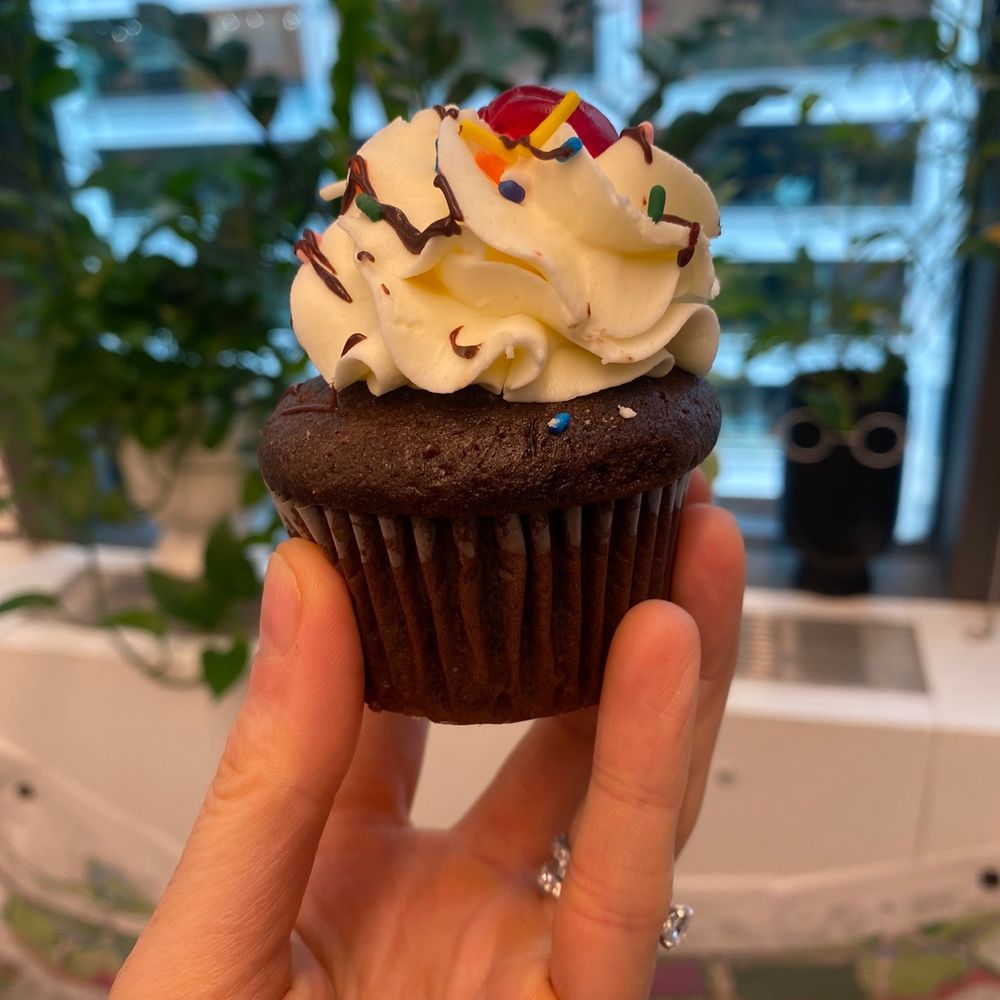Mr. Cupcakes - Bakeries Near Me - Clifton, New Jersey Mr. Cupcakes - Bakeries Near Me - Clifton, New Jersey