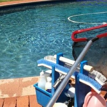 Blu Dolphin - Pool Maintenance - Pool Cleaners Near Me - Novato, California
