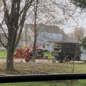 Tree Concepts - Tree Services Near Me